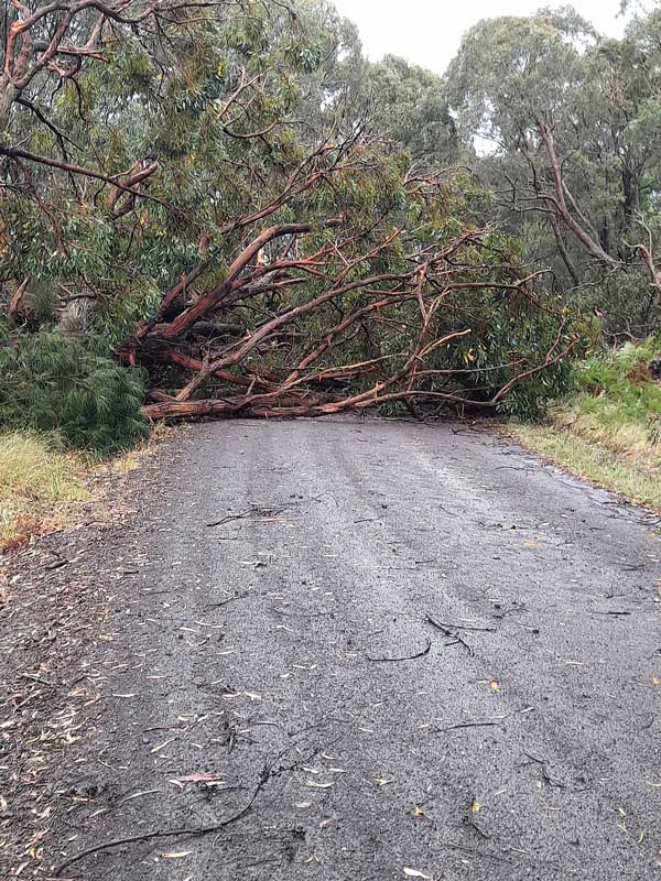 2312 storm damage in Colac Otway